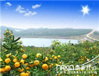 【逍遙自駕摘蜜桔  納新會(huì)員醉金秋】明日活動(dòng)安排