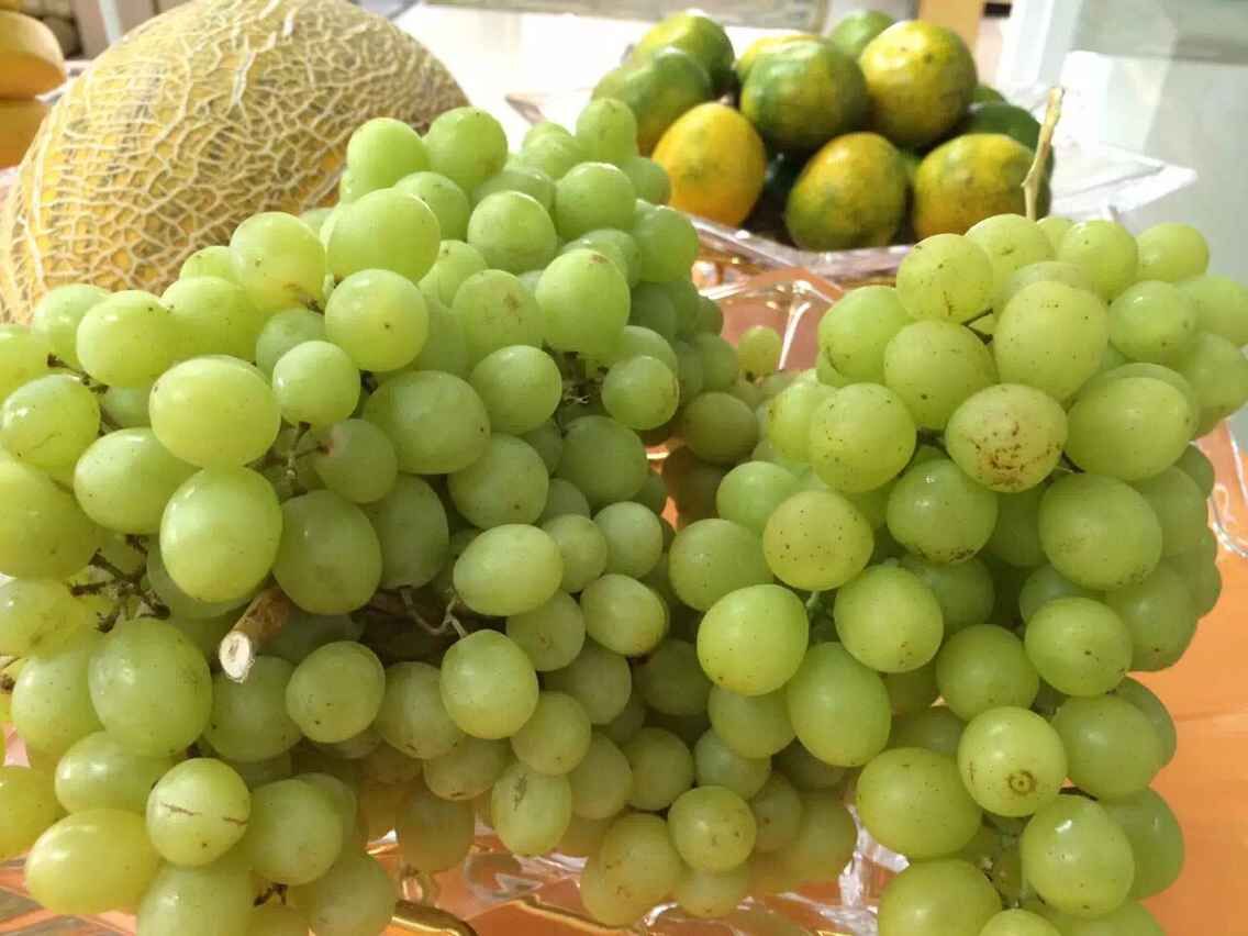 納新抽獎活動進行時——籌備篇