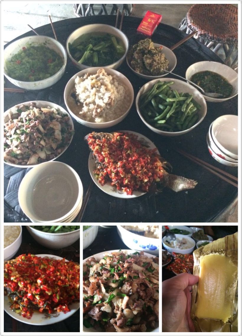 云南西雙版納普洱茶山行——納新2016年春（4）