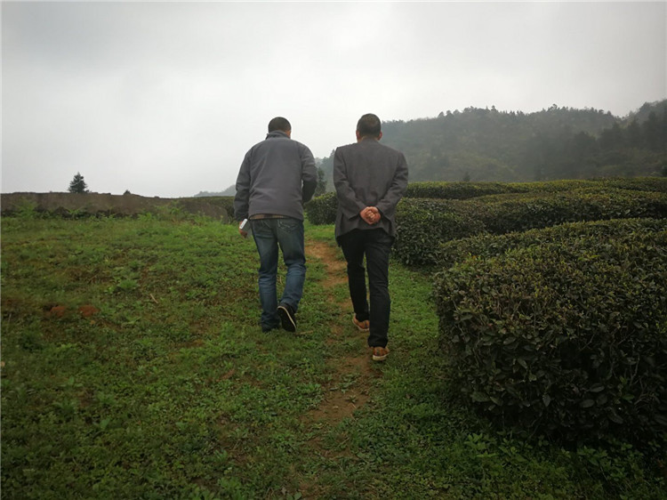 2018年納新茶山行圓滿結(jié)束，感謝大家的關(guān)注