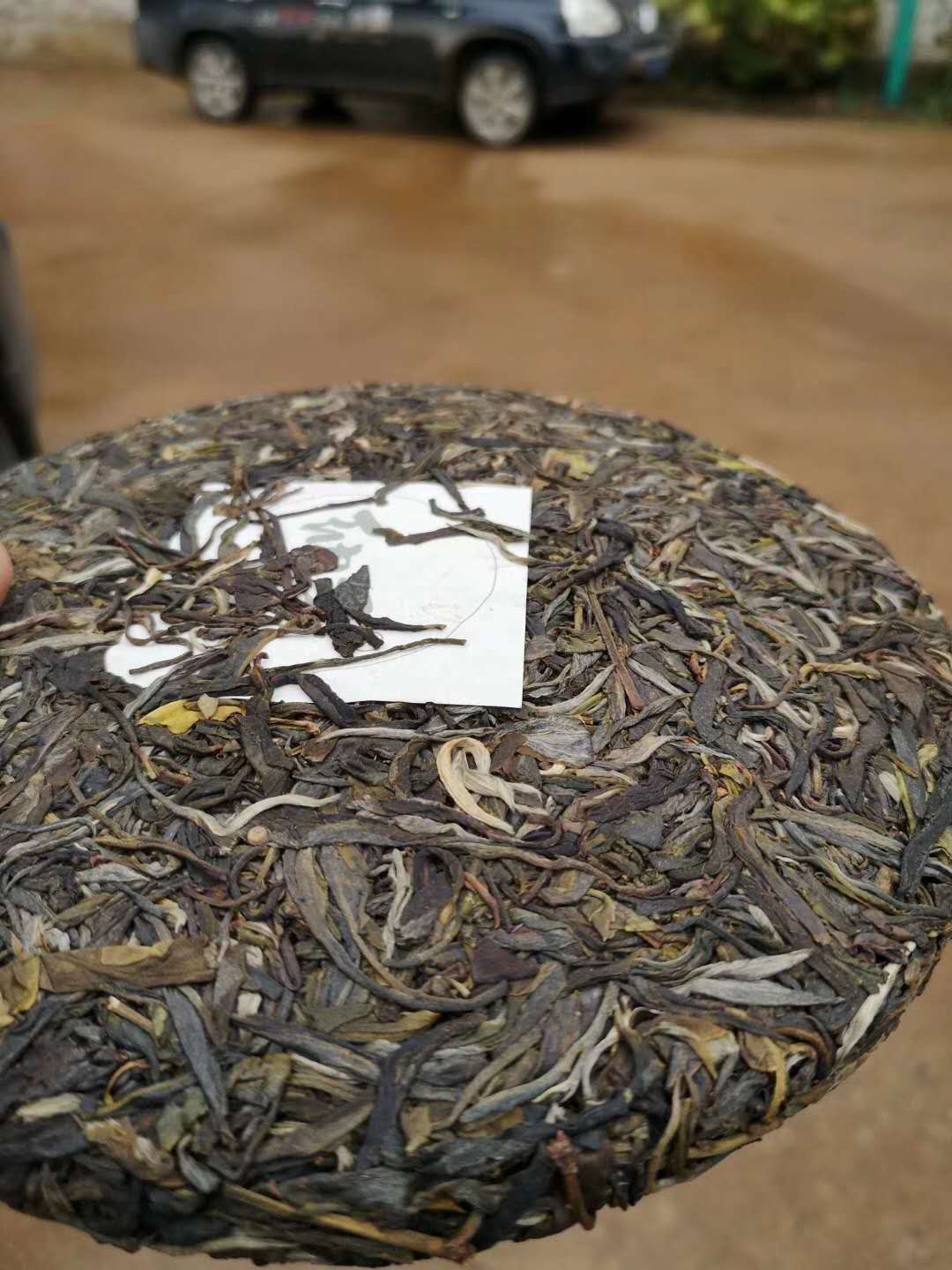 2020納新云南茶山行——推薦茶品納新“口糧二號(hào)”