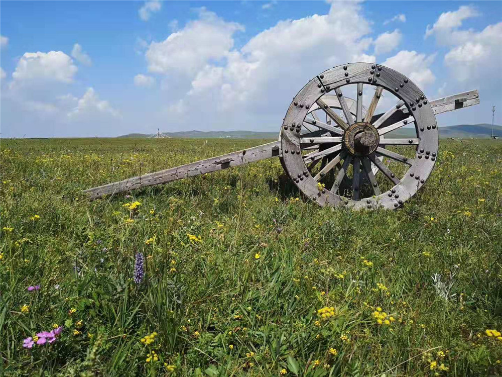 2019納新草原行 —— 黃花溝草原旅游區(qū)