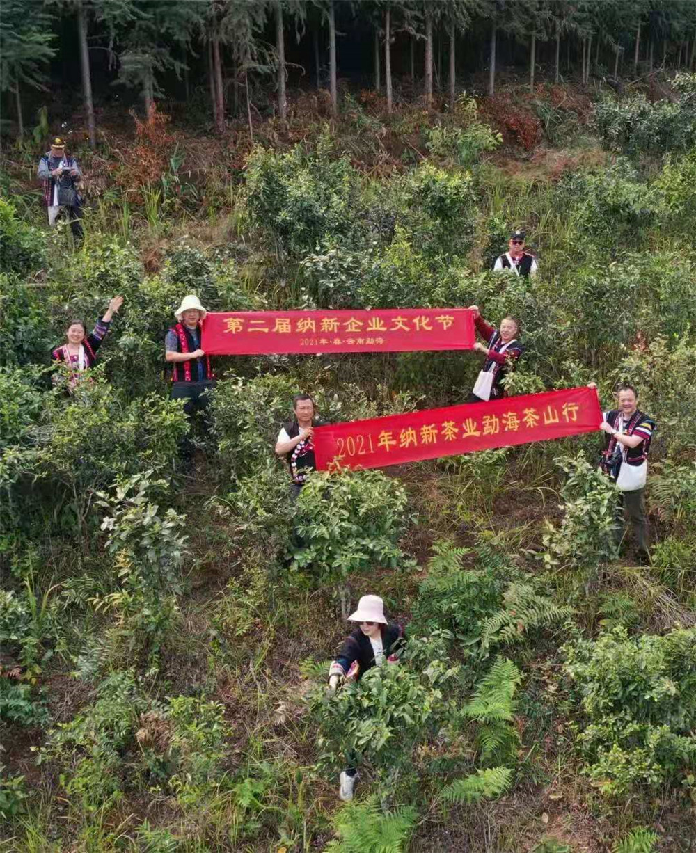 2021納新勐海茶山行 -- 納新基地