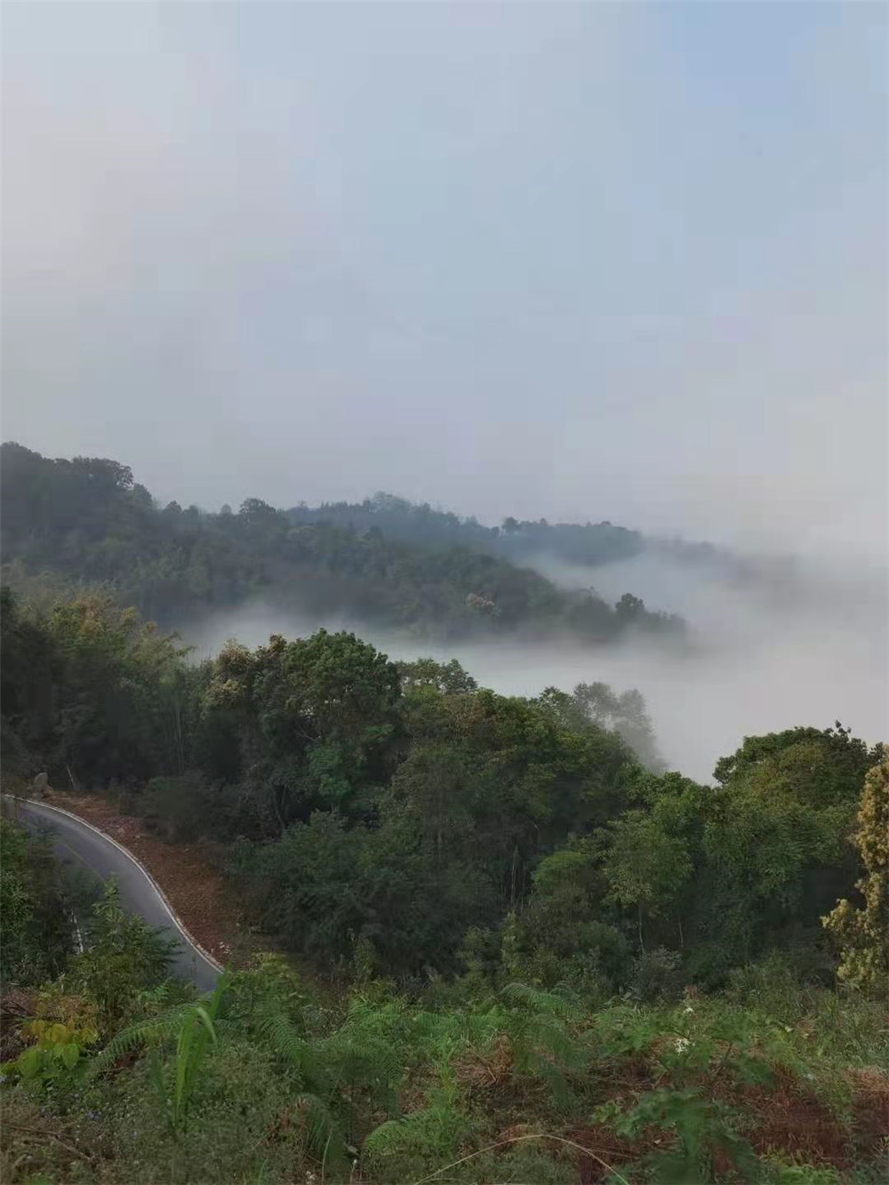 2021納新勐海茶山行 -- 格朗和風(fēng)光